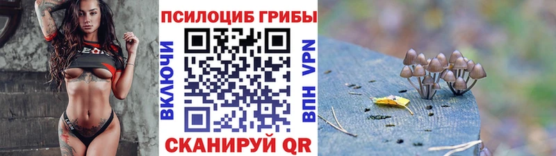 наркошоп Собинка Галлюциногенные грибы Magic Shrooms
